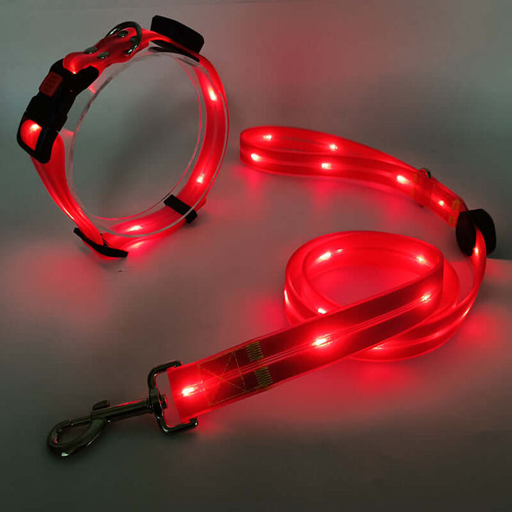 LED Hundehalsbånd med Snor - Sikkert & Synligt