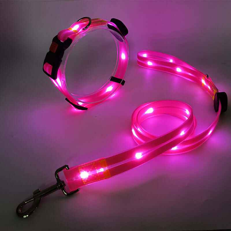 LED Hundehalsbånd med Snor - Sikkert & Synligt