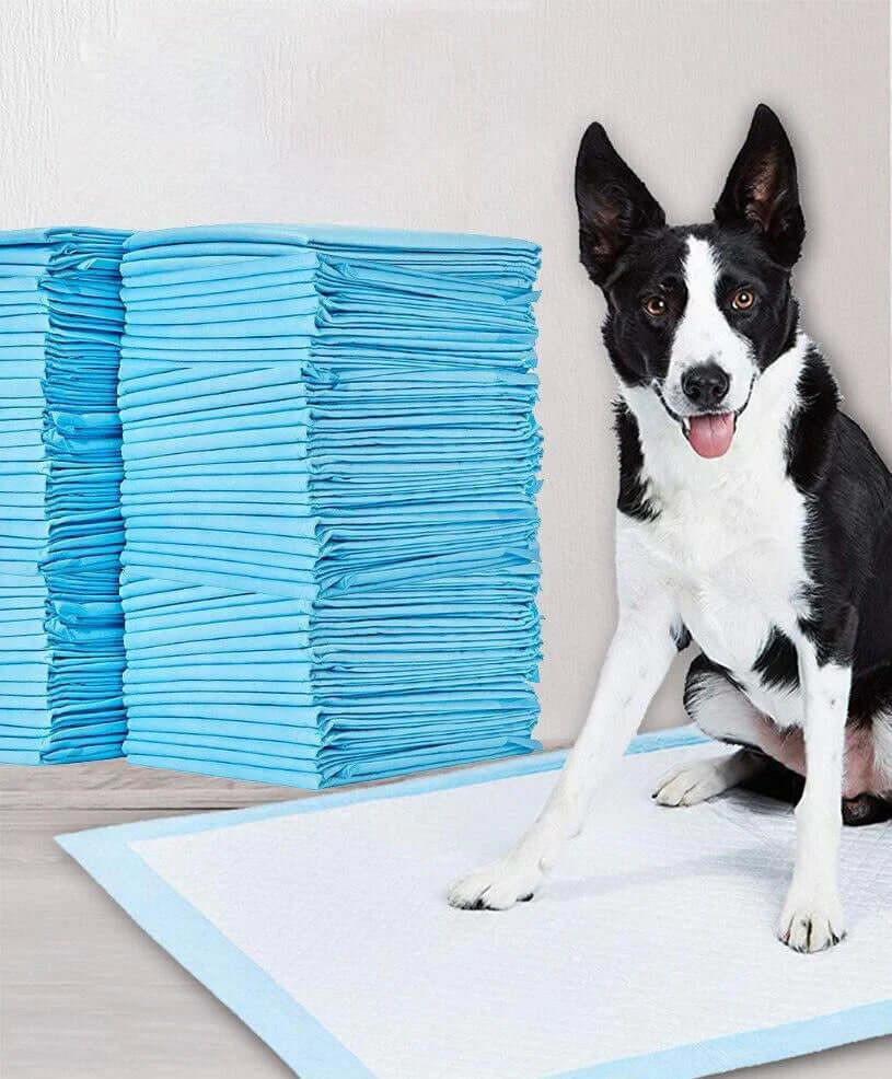 Superabsorberende Hvalpetræningsmåtter - 100 stk.