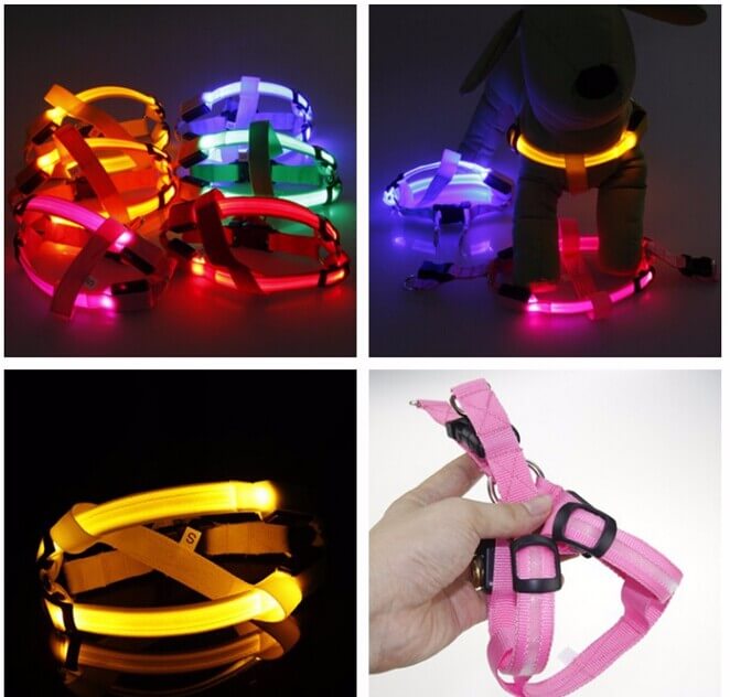 LED hundesele - sikkerhedssele til hunde