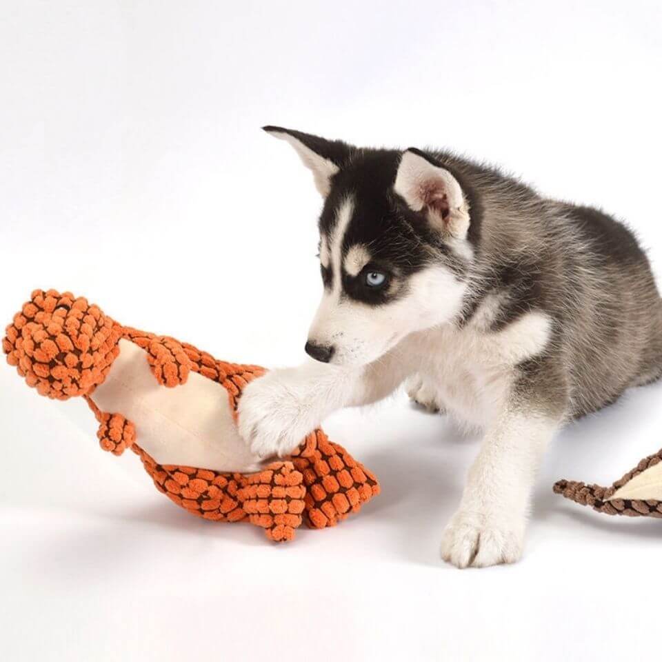 Blødt dinosaurlegetøj til hunde og katte