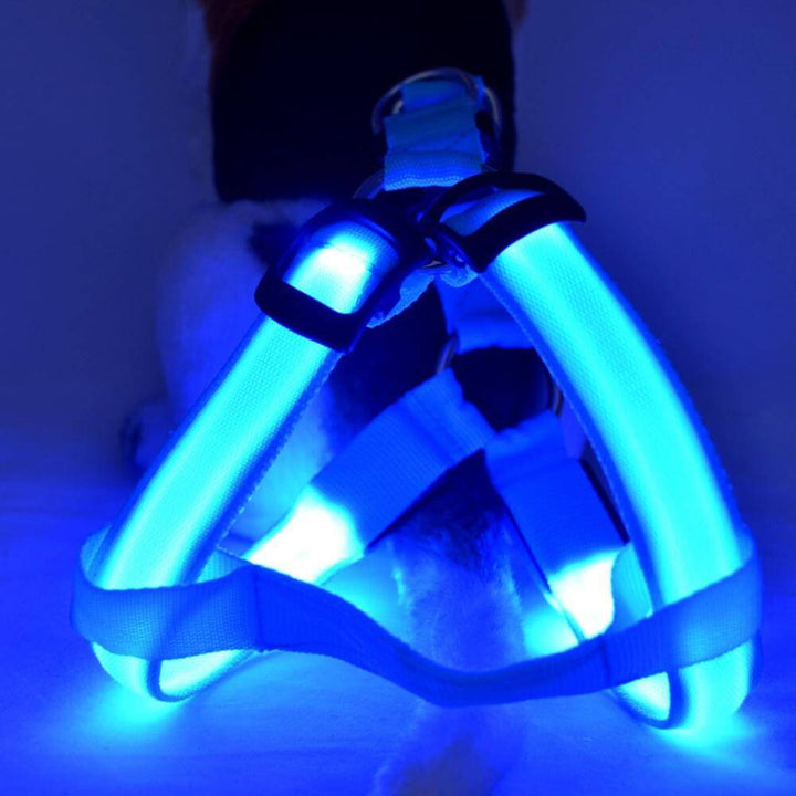 LED hundesele - sikkerhedssele til hunde