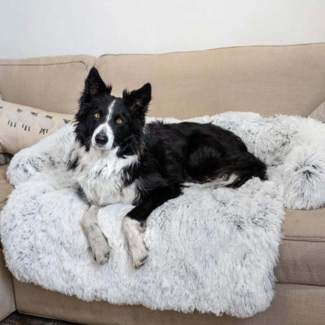 Hyggelig hundesofa seng til kæledyr