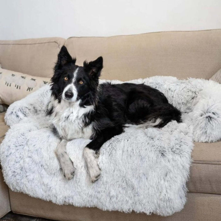 Hyggelig hundesofa seng til kæledyr