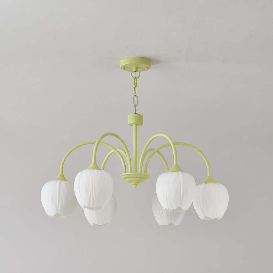 Tulipan Matcha Loftkrone - 5-8 Pærer