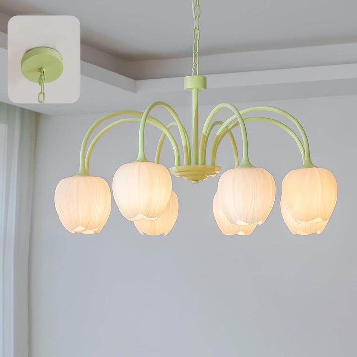 Tulipan Matcha Loftkrone - 5-8 Pærer