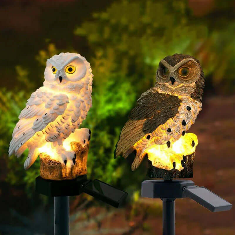 Solar Ugle Havebelysning til Udendørs Dekoration
