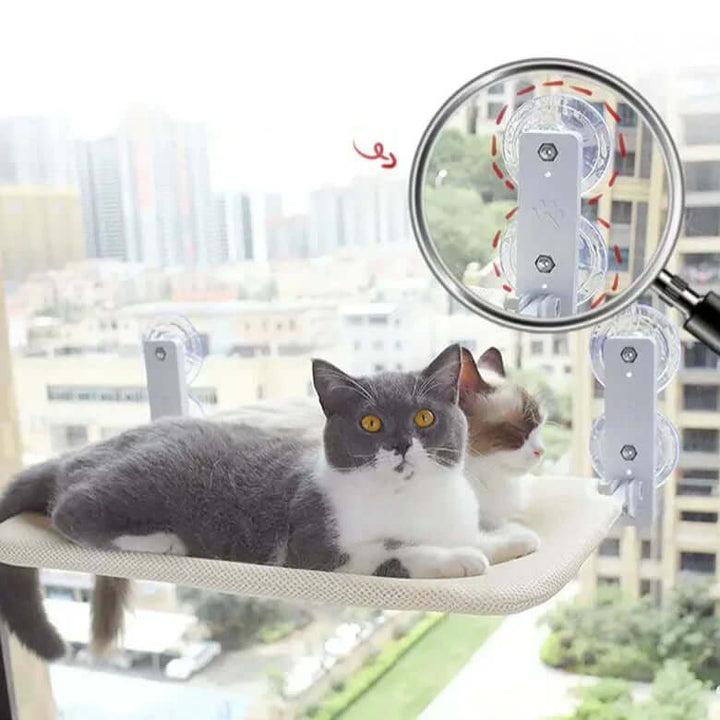 Væghængekøje til katte - Få et panoramablik