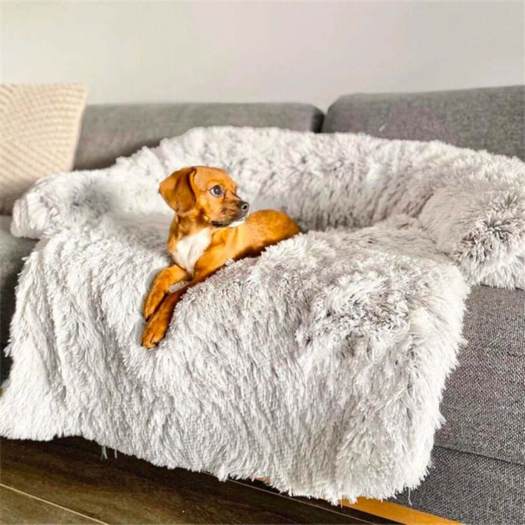 Hyggelig hundesofa seng til kæledyr