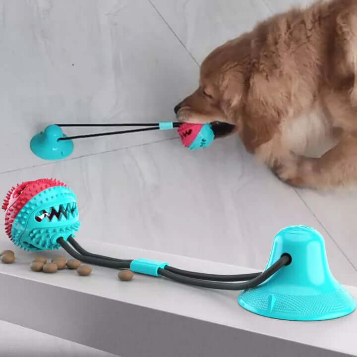 Robust Hundetræklegetøj med Sugekop til Leg