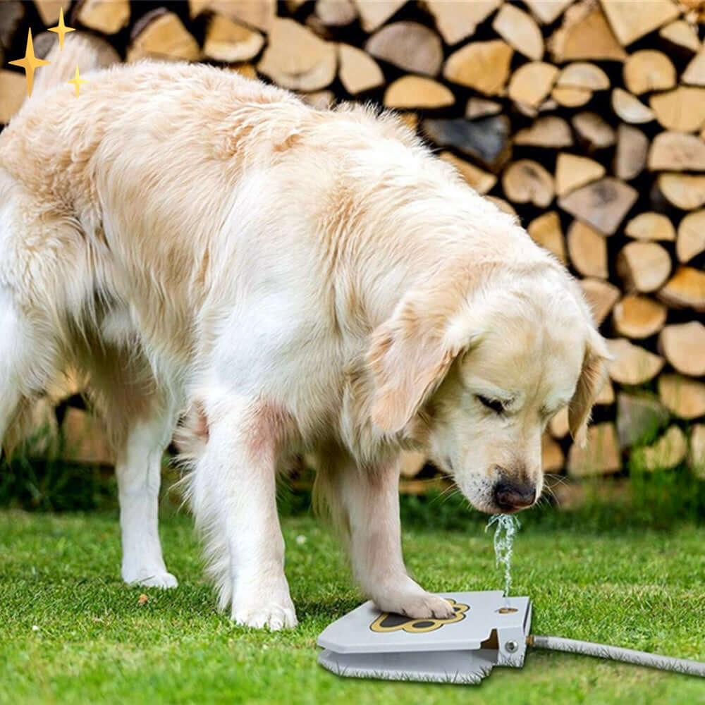 Interaktiv vandfontæne til hunde