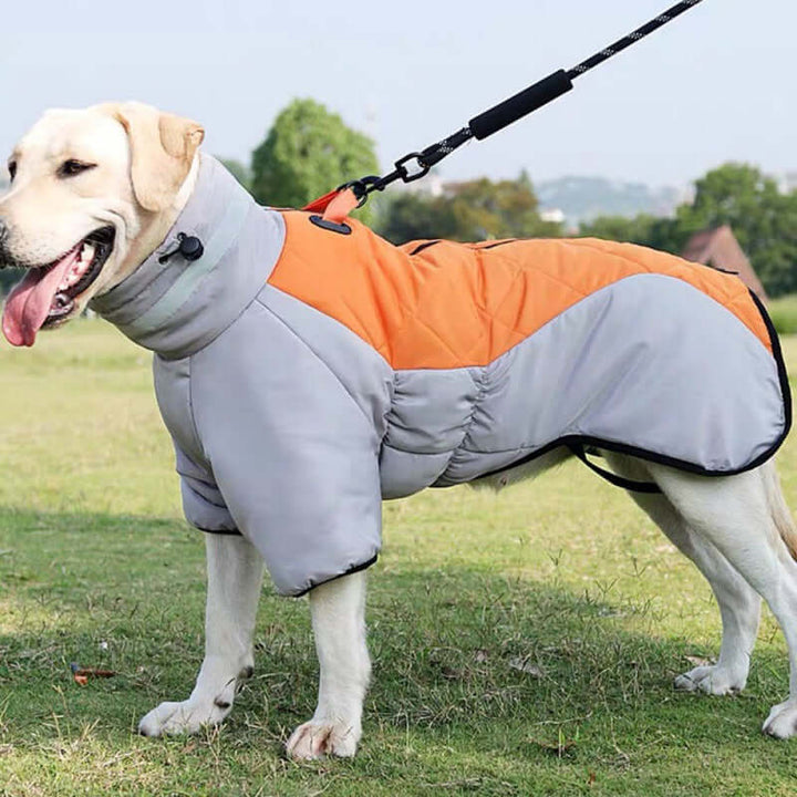Vandtæt Hundejakke til Mellemstore Hunde