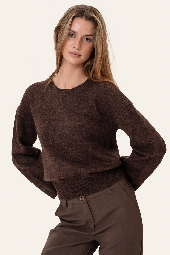 Stilfuld mørkebrun damestriktrøje med rund hals. Ideel til afslappet hygge eller elegant hverdagslook.