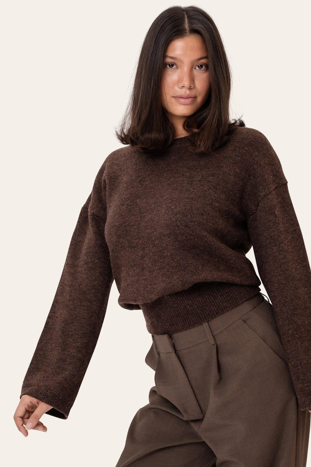 Alsidig mørkebrun dame sweater med rund hals. Blød striktrøje, langærmet, ideel til hverdag og afslapning.