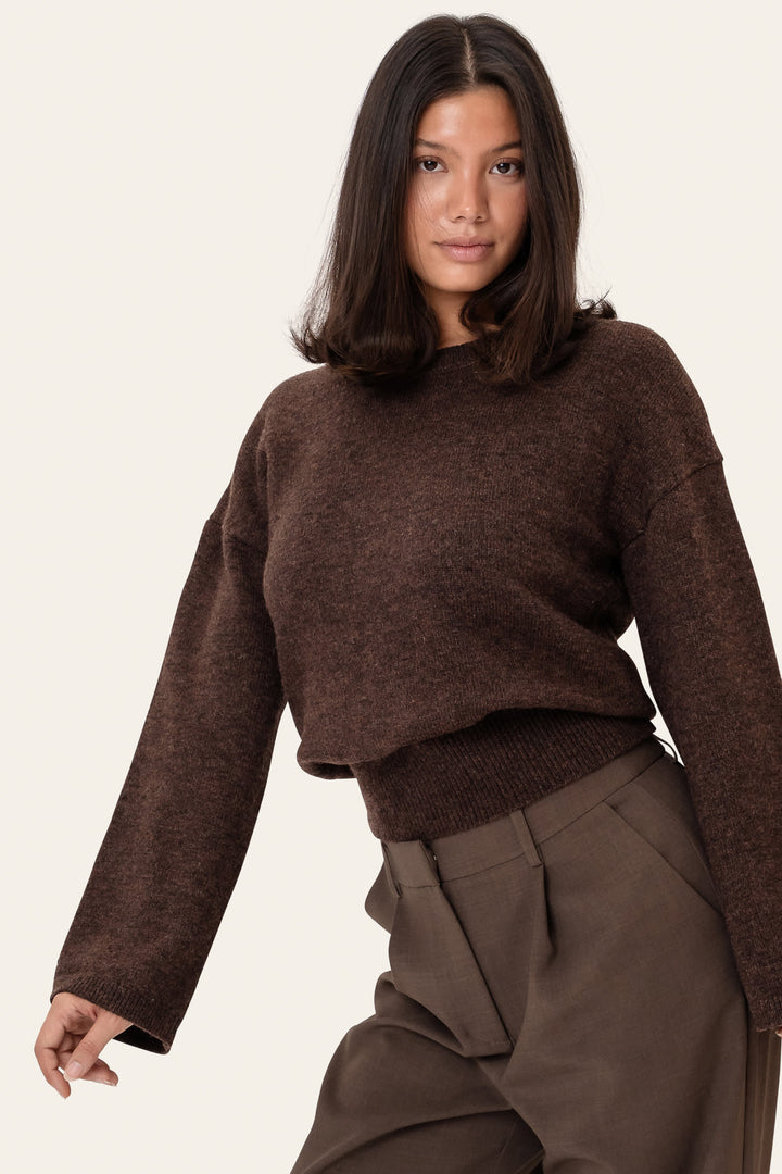 Alsidig mørkebrun dame sweater med rund hals. Blød striktrøje, langærmet, ideel til hverdag og afslapning.