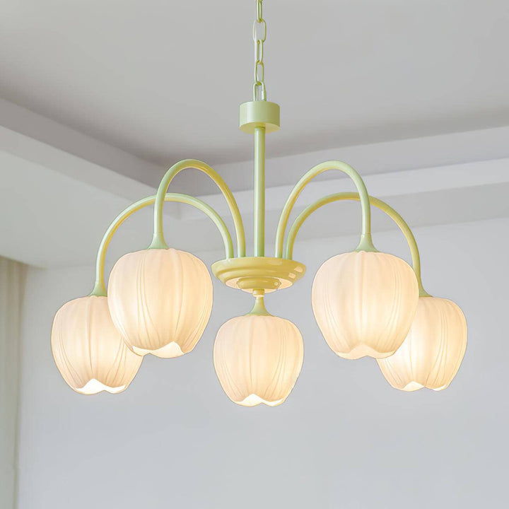 Tulipan Matcha Loftkrone - 5-8 Pærer