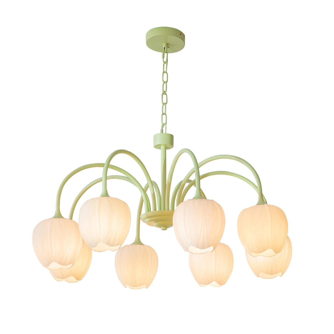 Tulipan Matcha Loftkrone - 5-8 Pærer