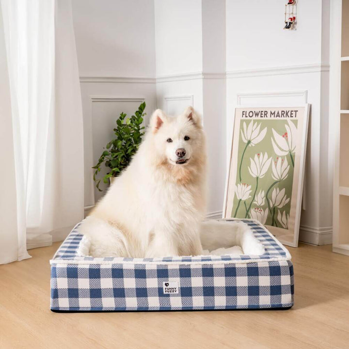 Hyggelig hundekurv Tern