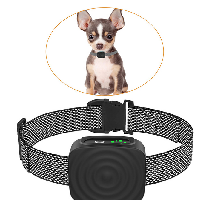 Vandafvisende vibrationshalsbånd, ideelt til små hunde. Hjælper med at stoppe gøen under hundetræning og hvalpetræning.