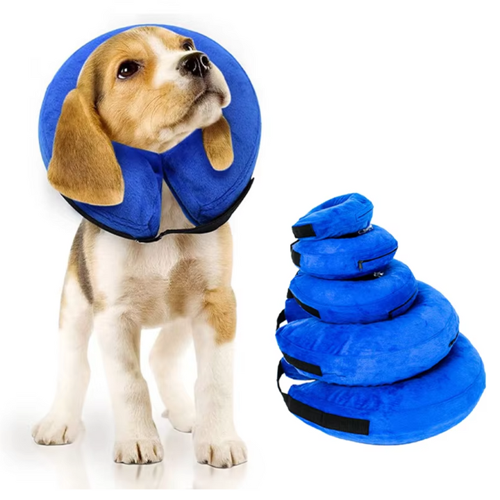 Oppustelig blå hundehalskrave i doughnut-form for maksimal komfort og beskyttelse efter operationer.