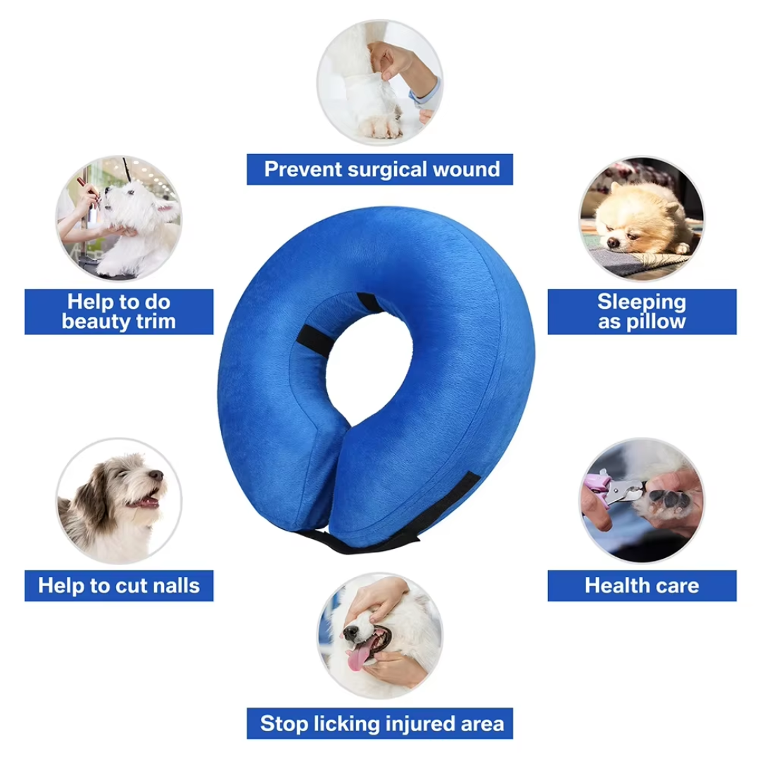 Forskellige farver af oppustelige hundehalskraver i doughnut-form: blå, pink, grå og hvid.