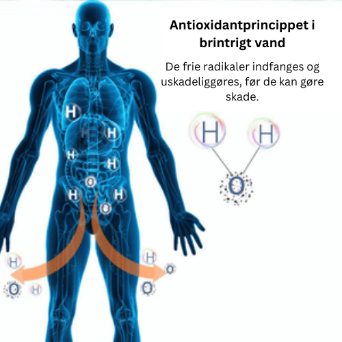 Ideel brintvandflaske til den aktive livsstil. Fremmer hydrering, vitalitet og ydeevne.
