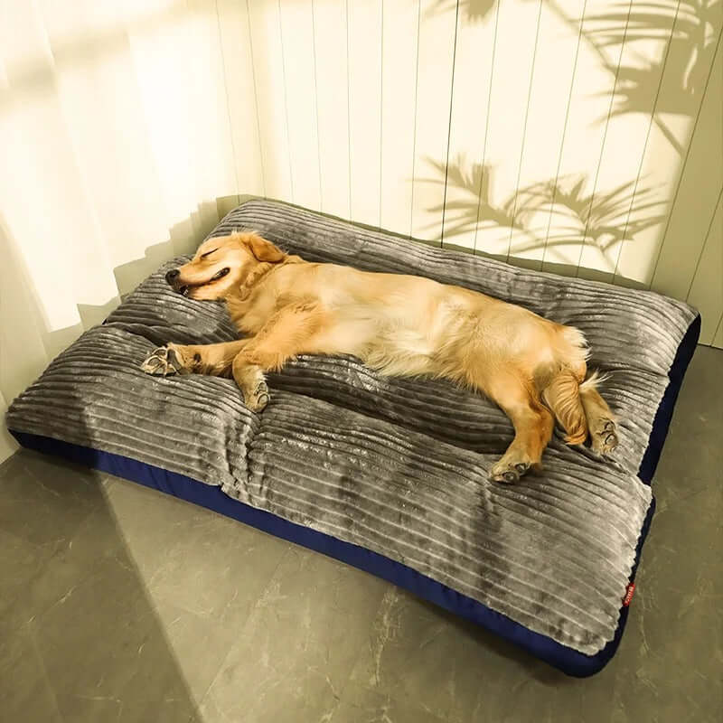 Ortopædisk hundeseng for komfort og varme