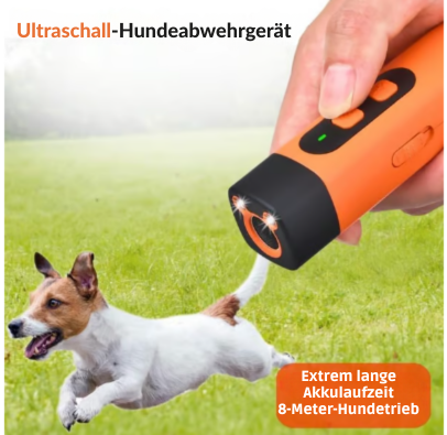 Hund kigger nysgerrigt på BarkEase lydløs ultralydstræner, designet til effektiv adfærdskontrol.