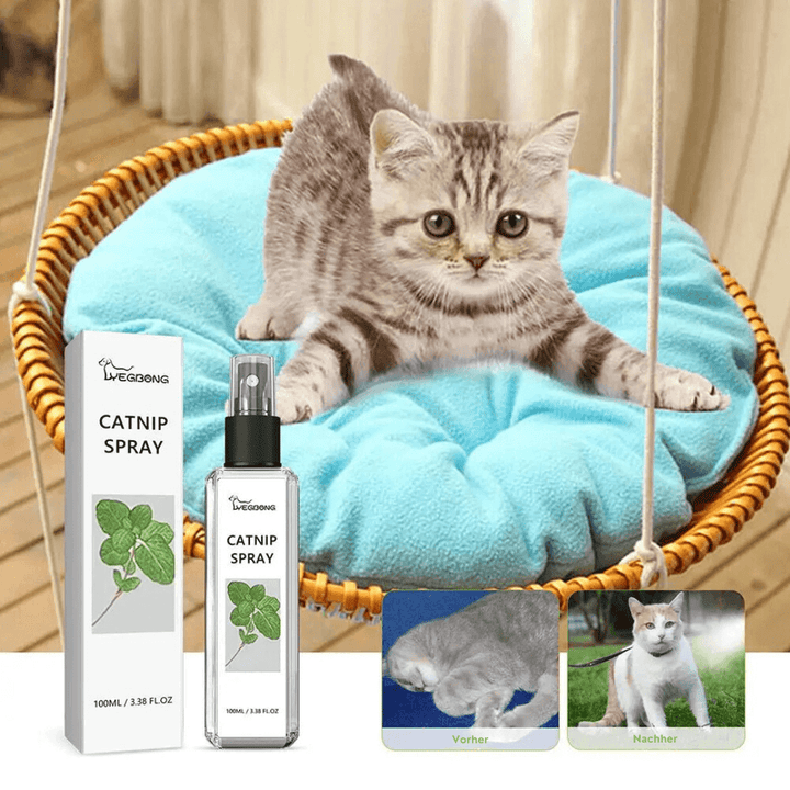 Kattespray med sølvvin - Bliss Spray