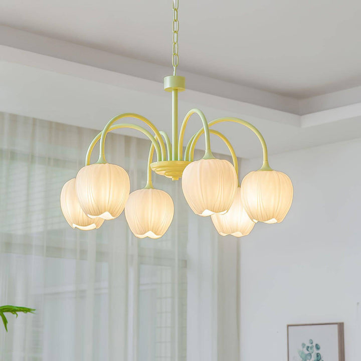 Tulipan Matcha Loftkrone - 5-8 Pærer