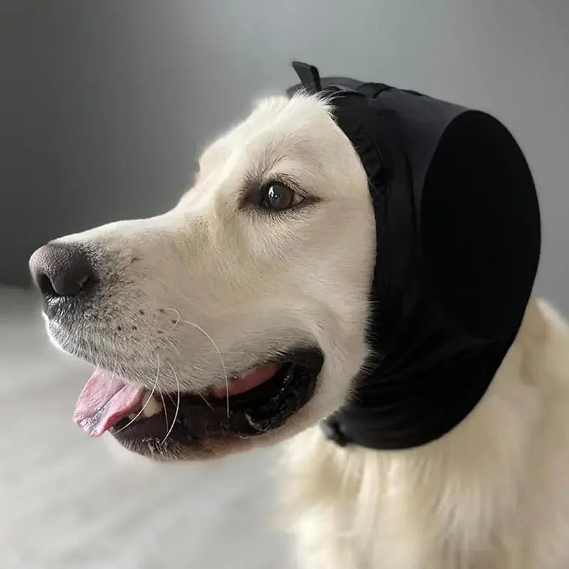 Effektive hundeørebeskyttere i blå & sort. Reducerer støj og lindrer angst, så din hund får ro og komfort.