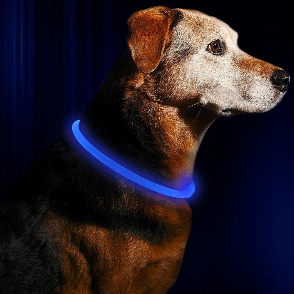 Halsbånd til hunde med LED-lys, blåt, genopladeligt via USB, for sikre natlige gåture, justerbart og vejrbestandigt.