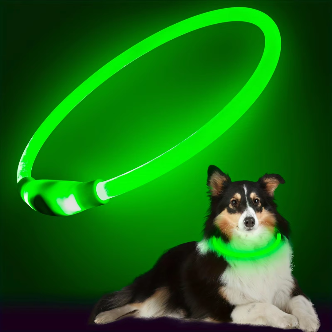 Halsbånd til hunde med LED-lys, blåt, genopladeligt via USB, for sikre natlige gåture, justerbart og vejrbestandigt.
