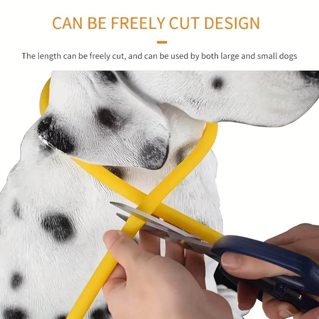 Halsbånd til hunde med LED-lys, blåt, genopladeligt via USB, for sikre natlige gåture, justerbart og vejrbestandigt.