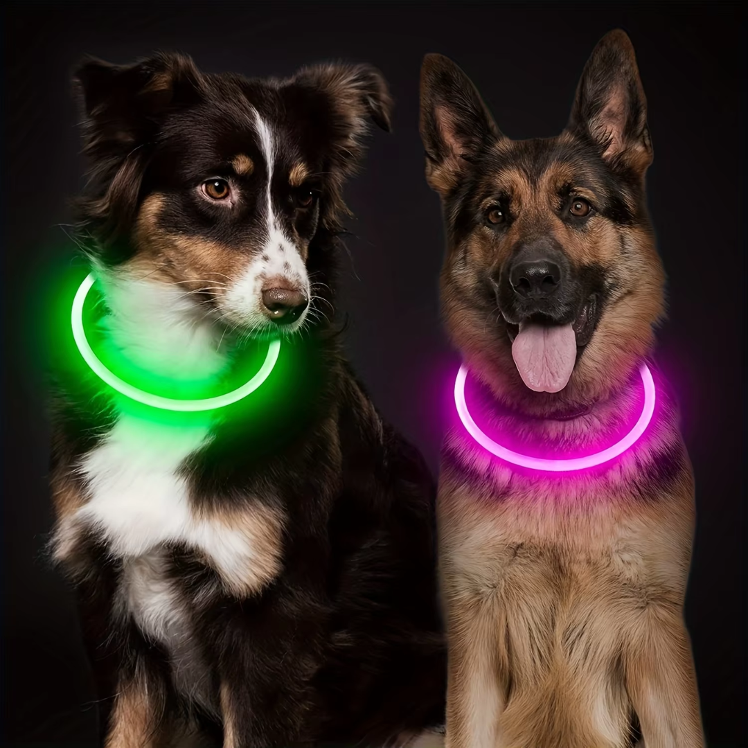 Halsbånd til hunde med LED-lys, blåt, genopladeligt via USB, for sikre natlige gåture, justerbart og vejrbestandigt.