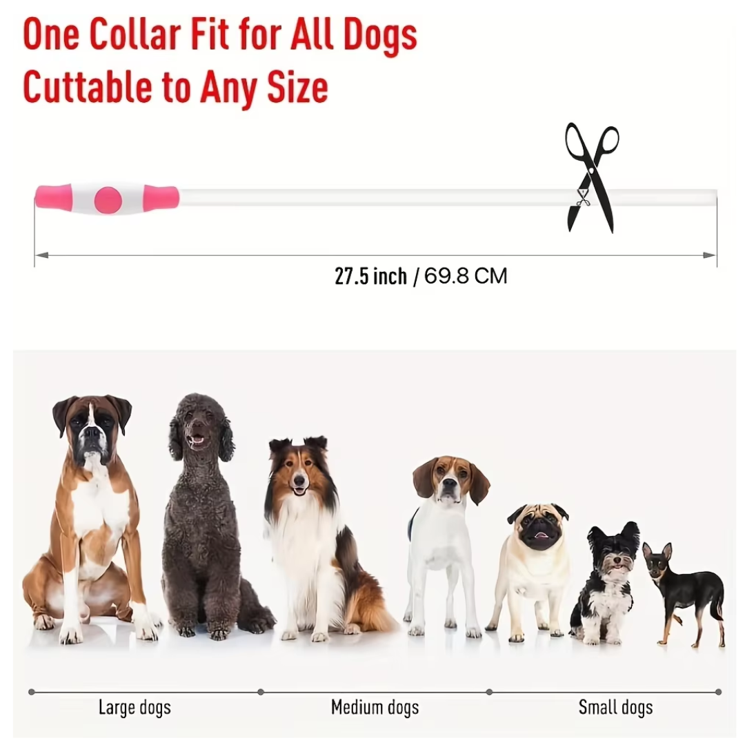 Halsbånd til hunde med LED-lys, blåt, genopladeligt via USB, for sikre natlige gåture, justerbart og vejrbestandigt.