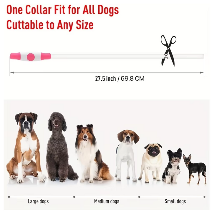 Halsbånd til hunde med LED-lys, blåt, genopladeligt via USB, for sikre natlige gåture, justerbart og vejrbestandigt.