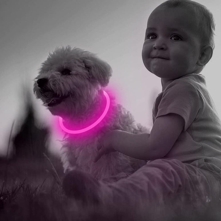 Halsbånd til hunde med LED-lys, blåt, genopladeligt via USB, for sikre natlige gåture, justerbart og vejrbestandigt.