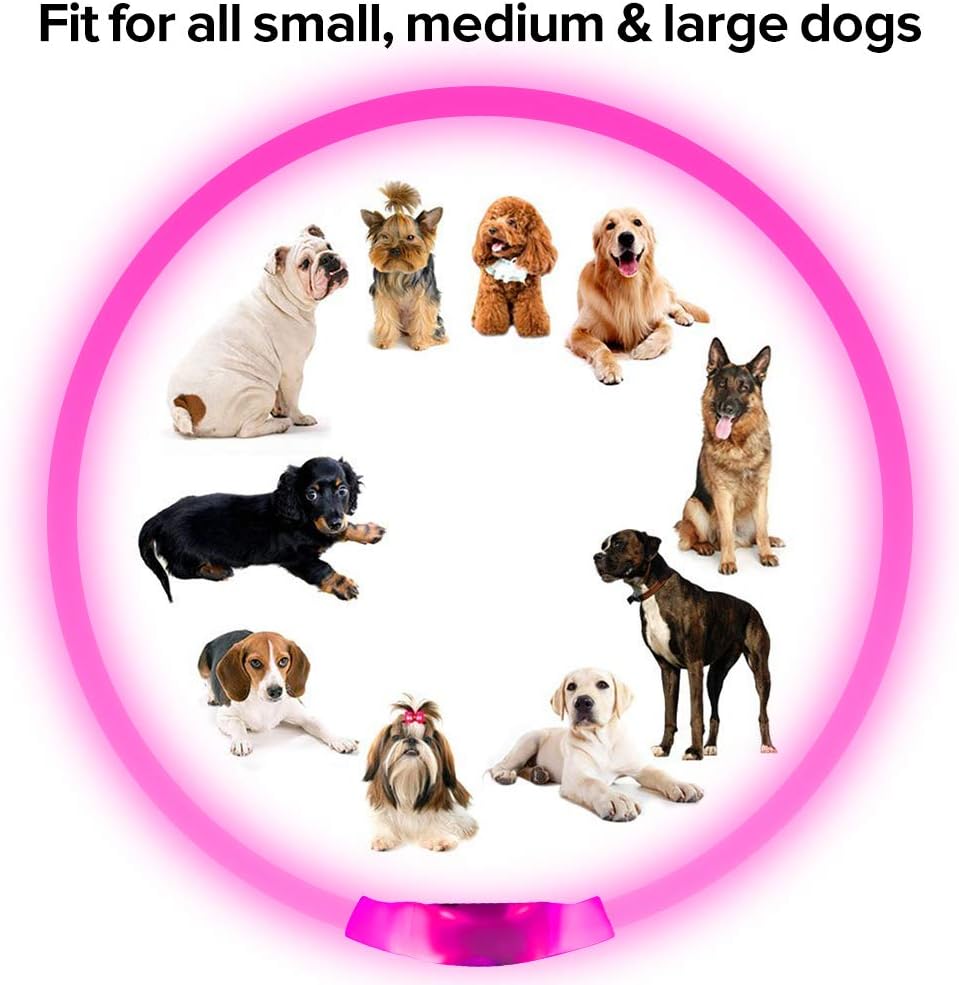 Halsbånd til hunde med LED-lys, blåt, genopladeligt via USB, for sikre natlige gåture, justerbart og vejrbestandigt.