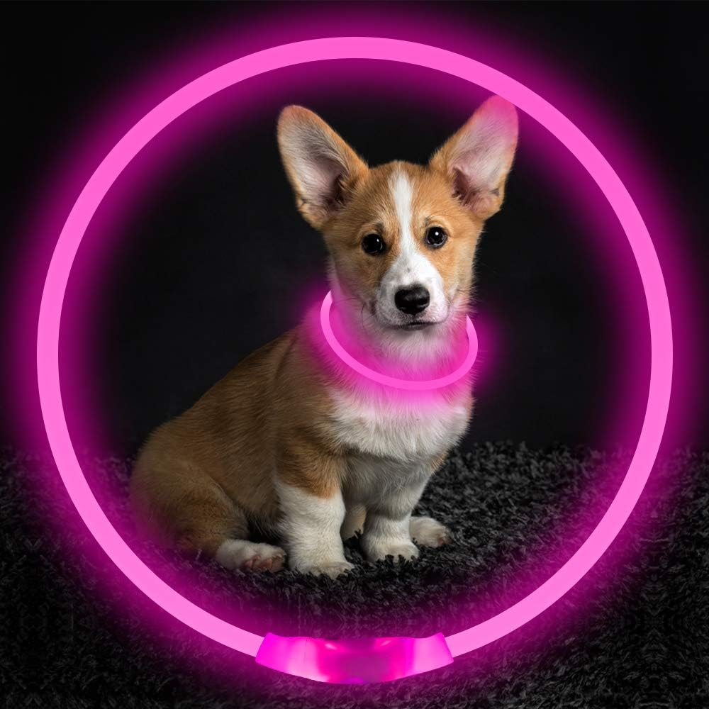 Halsbånd til hunde med LED-lys, blåt, genopladeligt via USB, for sikre natlige gåture, justerbart og vejrbestandigt.