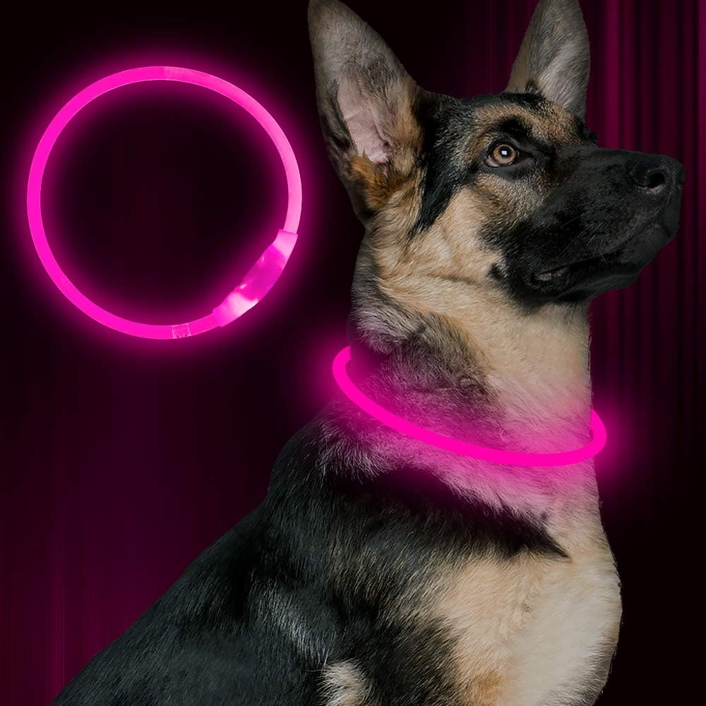 Halsbånd til hunde med LED-lys, blåt, genopladeligt via USB, for sikre natlige gåture, justerbart og vejrbestandigt.
