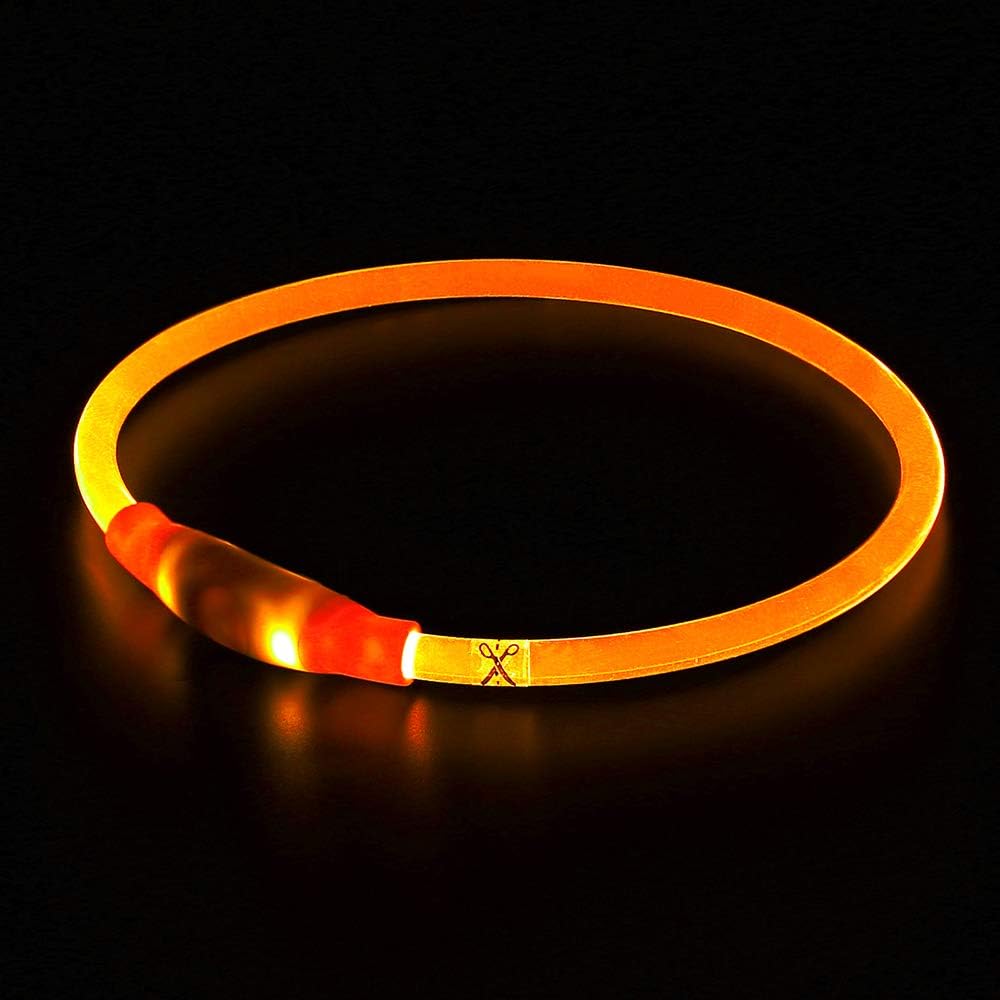 "Blaues leuchtendes LED-Hundehalsband, USB-wiederaufladbar, für sichere Spaziergänge bei Nacht, verstellbar und wetterfest."