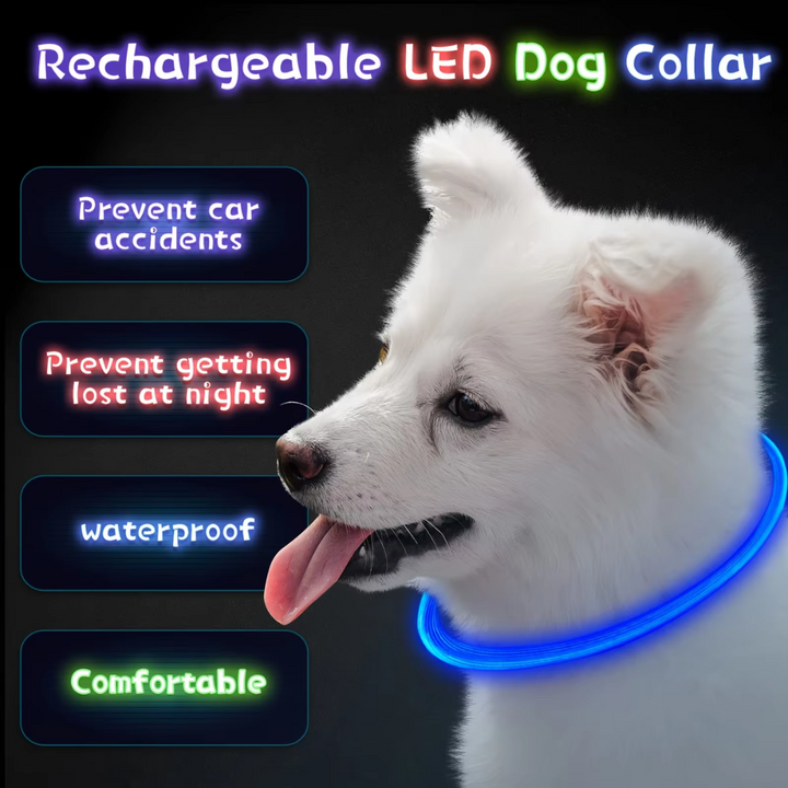 "Blaues leuchtendes LED-Hundehalsband, USB-wiederaufladbar, für sichere Spaziergänge bei Nacht, verstellbar und wetterfest."