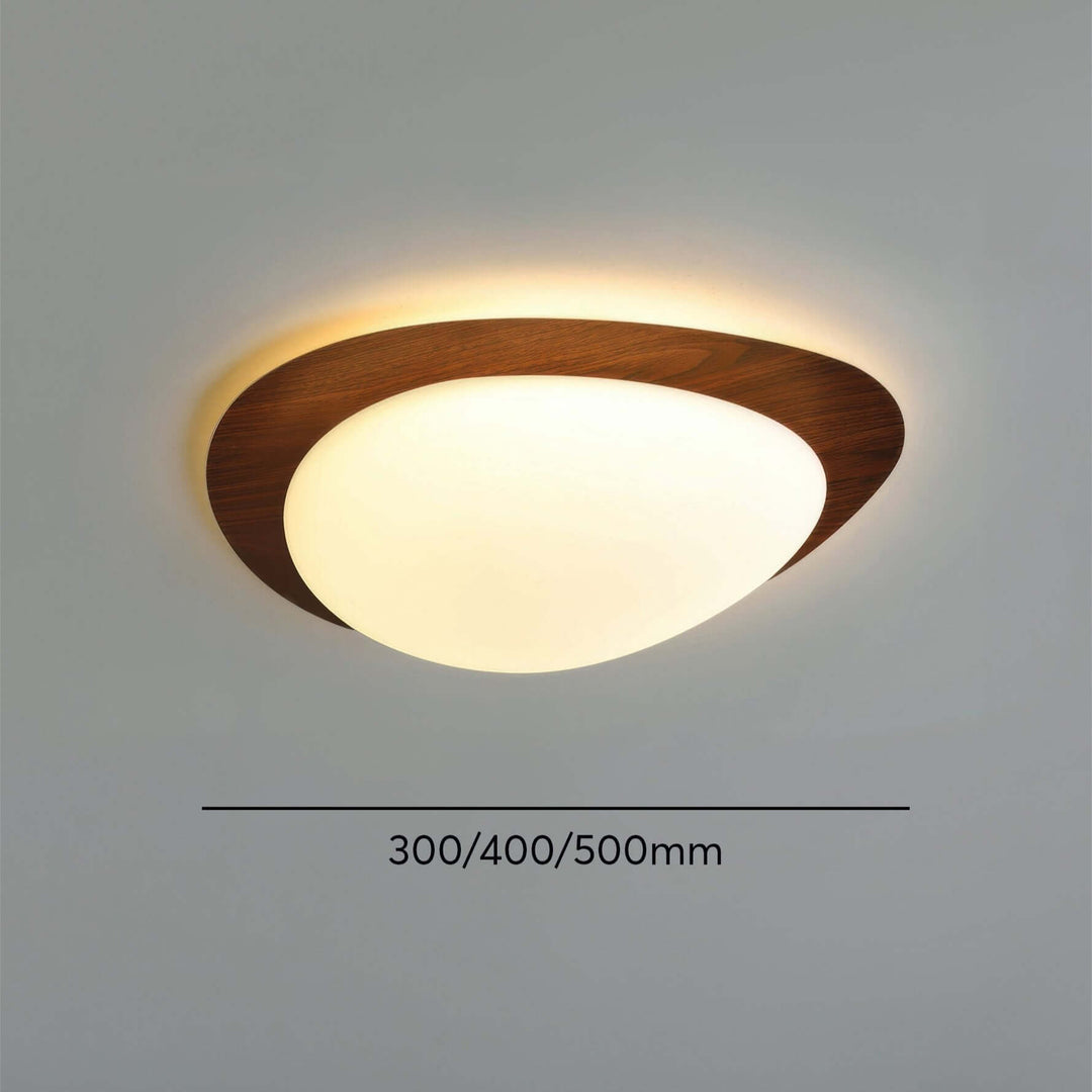 Skandinavisk LED Loftslampe til Stuen