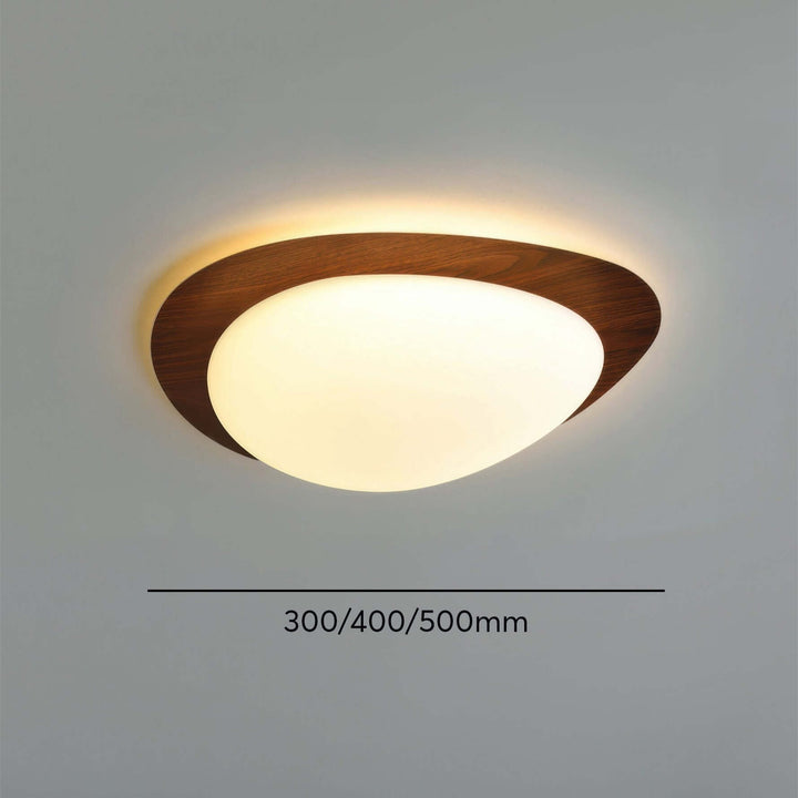 Skandinavisk LED Loftslampe til Stuen
