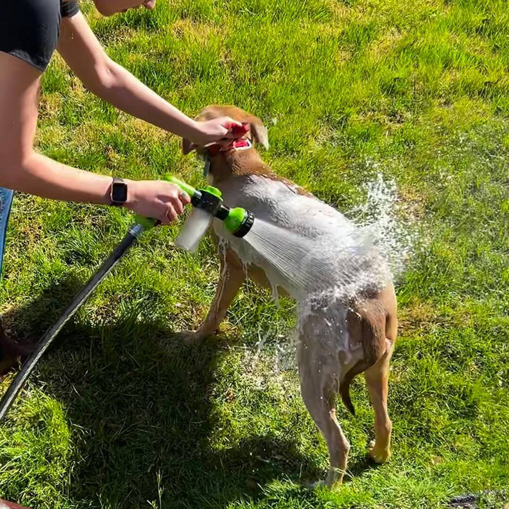 Hundeduschhoved til hurtig og nem vask