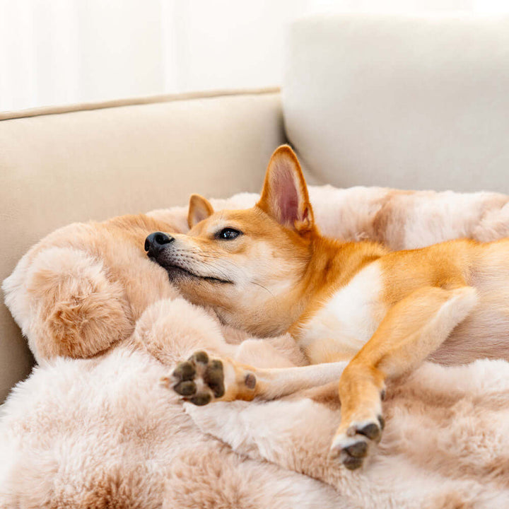Hundesofa Beskyttelsestæppe – Deluxe Plys Seng