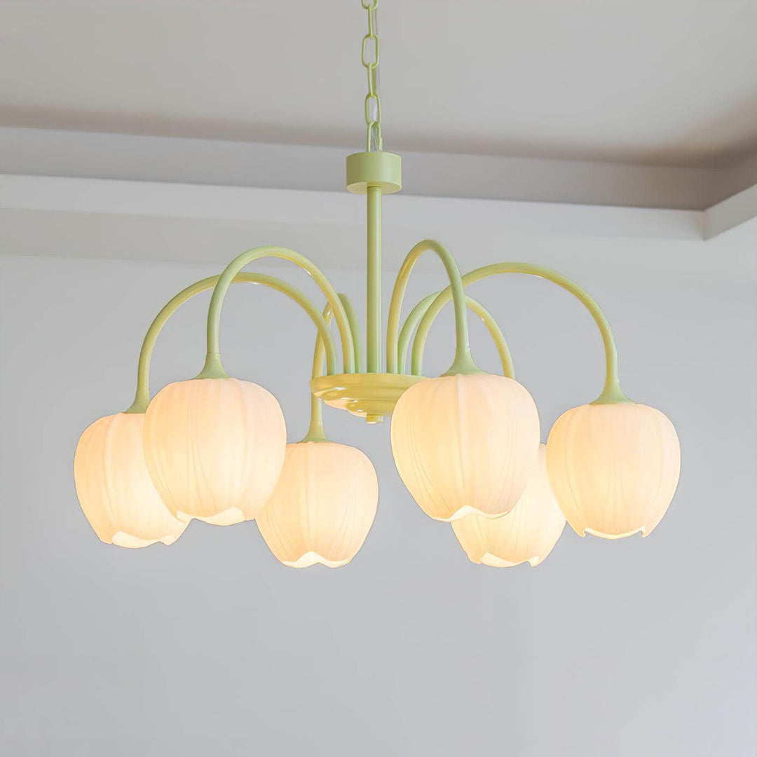 Tulipan Matcha Loftkrone - 5-8 Pærer