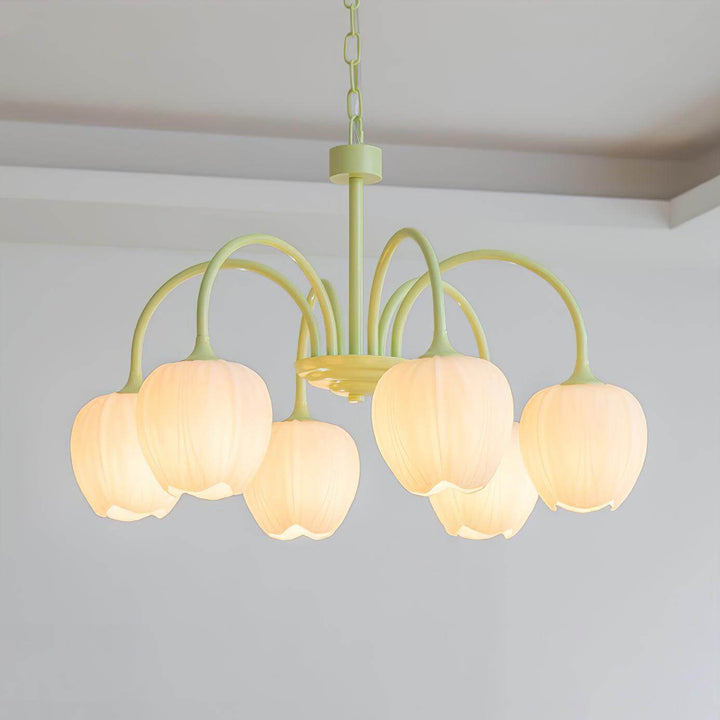 Tulipan Matcha Loftkrone - 5-8 Pærer