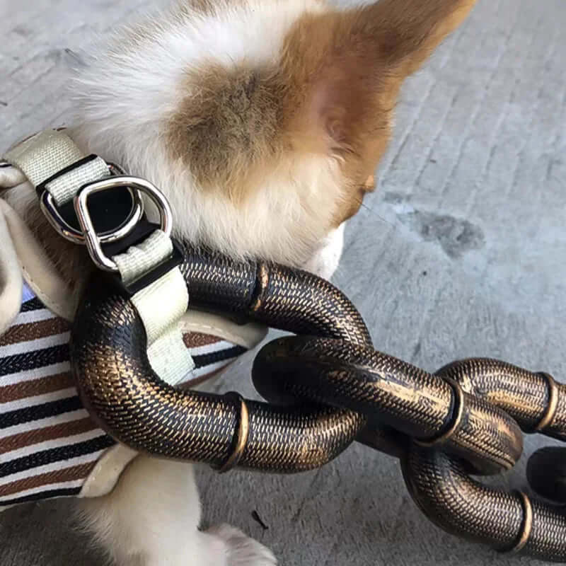 Hundesnor i kædelook - robust og sikker